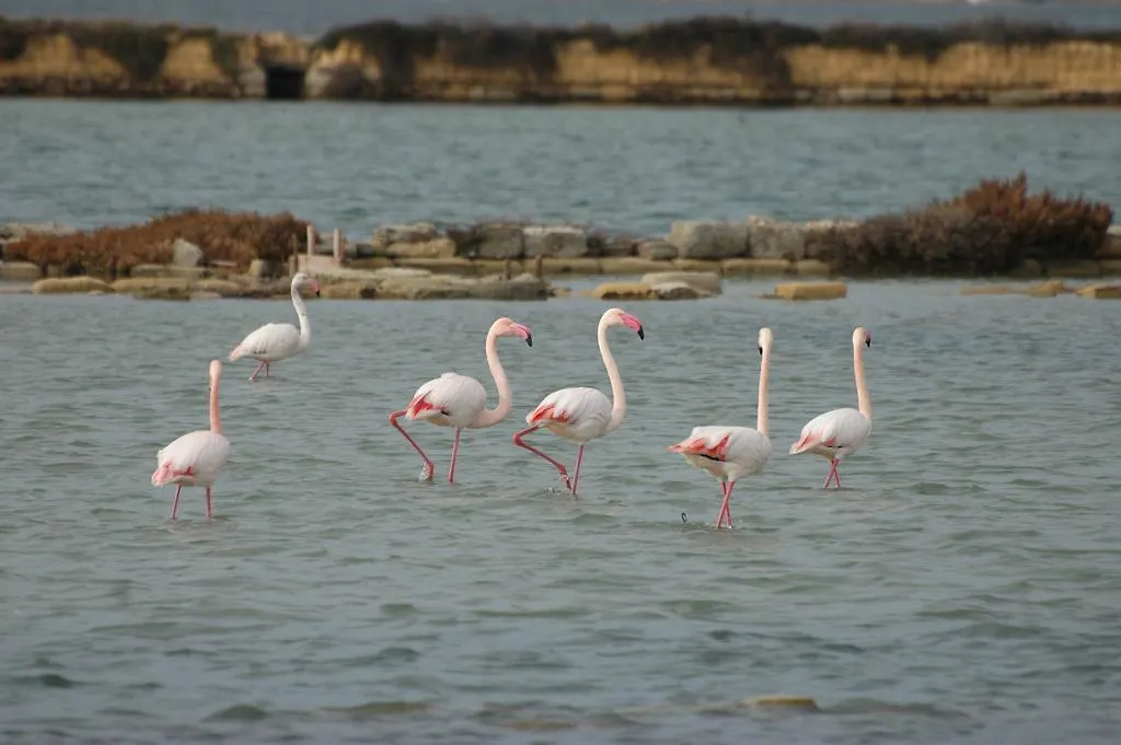 Casa di campagna Affittacamere Casale Stagnone Marsala Italia